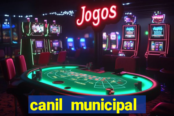 canil municipal porto alegre